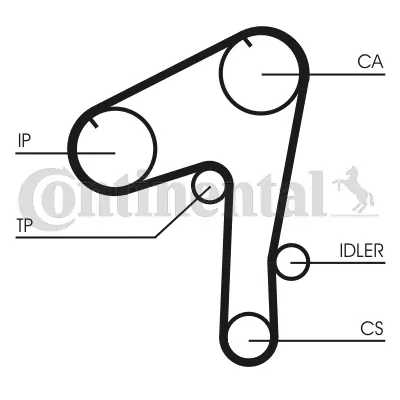 Timing Belt